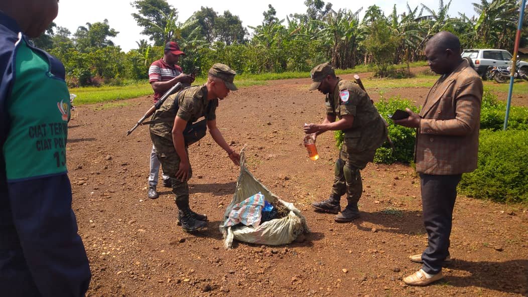 Mangina : Incinérer le Chanvre comme Symbole de Résilience pour la Jeunesse