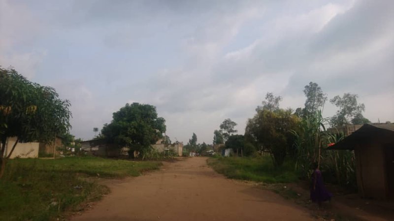 Attaque à Mambasa : Un Village Dévasté par les ADF